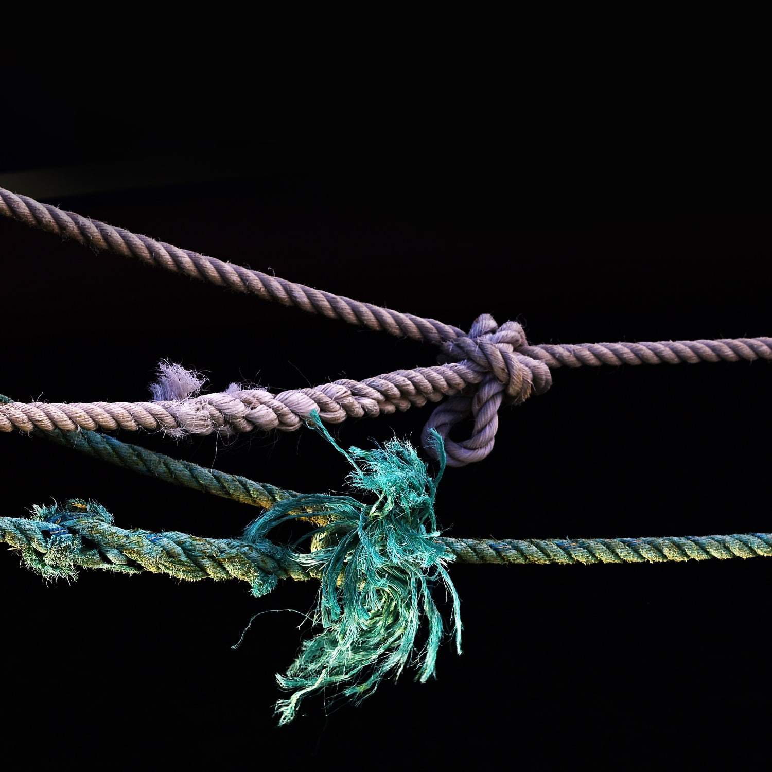 untangling our intuition and our opinions, we don't need words